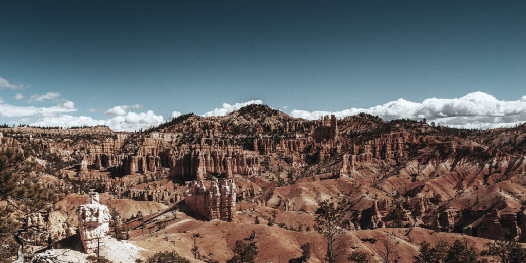 Bryce Canyon Pines Bryce Canyon City United States Of America Best   Carl Nenzen Loven EySFRS4Xm7M Unsplash 1 1024x512 